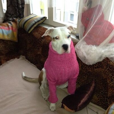 Profile Picture of Mike Vasilev (@VasilevMike) on Twitter