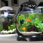 Profile Picture of Jenny Key (@Jenny-Key) on Facebook