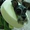 Profile Picture of David Chun Chieh Yeh (@davidchunchieh.yeh) on Facebook