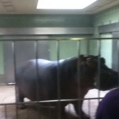 Profile Picture of Andrew Tarr (@rrat49) on Twitter