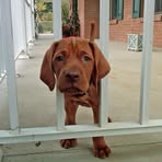 Profile Picture of Hannah Hazel (@Hannah-Hazel) on Facebook