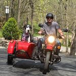 Profile Picture of Larry Stickler (@stickman4000) on Instagram