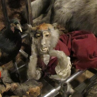 Profile Picture of Ted Barry (@teddybrek) on Twitter