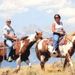 Profile Picture of Diann Walters (@mailgal63) on Pinterest