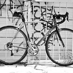 Profile Picture of David  Rangel (@raviddangel) on Flickr