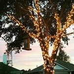 Profile Picture of Alisa N(Boravy) (@sreyalisa) on Instagram