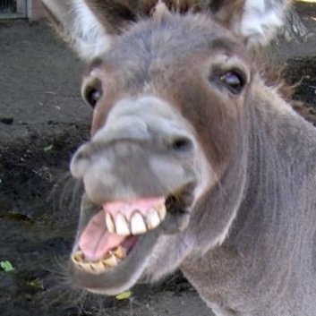 Profile Picture of James Comey (@therealFBIcomey) on Twitter