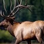 Profile Picture of Daniel Sharp (@daniel.sharp.969562) on Facebook