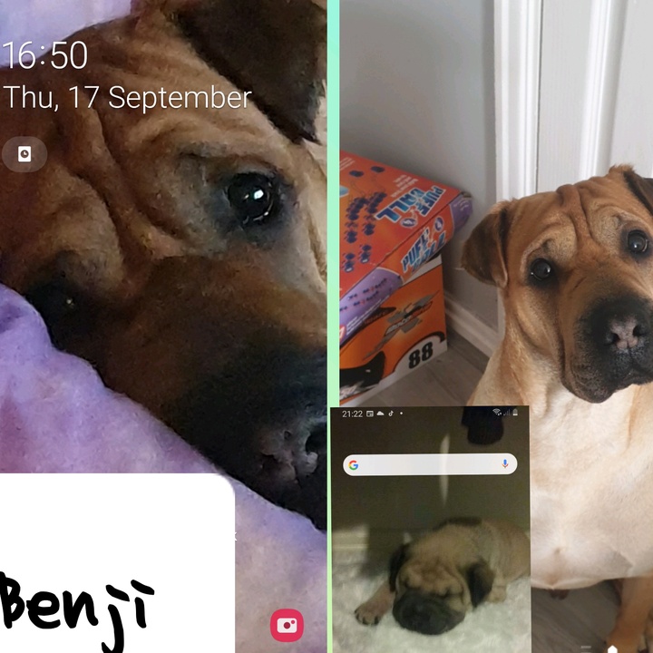 josephdun - Tiktok Profile Picture of josephdun (@joseph_dun20) on Tiktok