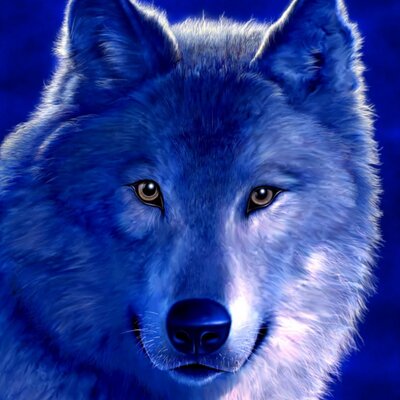 Profile Picture of Steve Luxton (@skylynx37) on Twitter