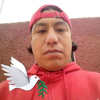 Profile Photo of Benito Guadarrama Estrada (@BenitoEstrada) on Twitter