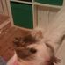 Profile Picture of Ben Mattocks (@ben.mattocks.79) on Facebook
