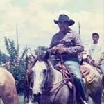 Profile Picture of Martin Bellow (@bellowm) on Instagram