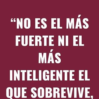 Profile Picture of Oscar Ramones (@oscar.ramones.319) on Facebook