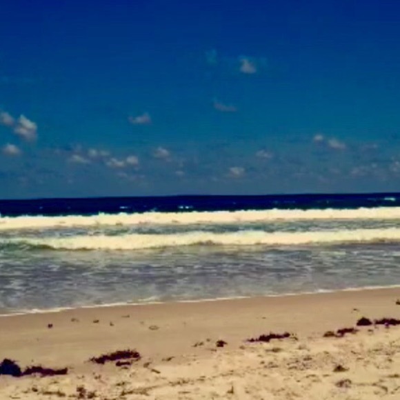 Profile Picture of Erica Rossell (@ericarossell5) on Poshmark