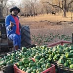 Profile Picture of Bra Keith (@Bra-Keith) on Facebook