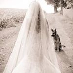 Profile Picture of Prissilla Bohlmeier (@prissillabohlmeier) on Instagram