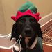 Profile Picture of Kevin Dickey (@kevinwdickey) on Pinterest