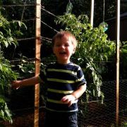 Profile Picture of Aaron Derossett (@aaronderossett7) on Pinterest