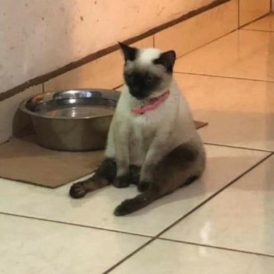 Profile Picture of Nathan J Slocum (@NathanJSlocum1) on Twitter