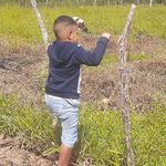 Profile Picture of Paulo Roberto Dias Albergaria Albergaria (@paulorobertodiasalberga) on Instagram