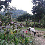 Profile Picture of DANNY ESPINOSA (@danny05156) on Instagram