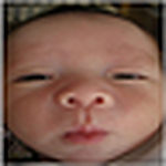 Profile Picture of Ferdi Adnil (@tgduren) on Flickr