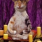 Profile Picture of Samy Groark (@samygroark) on Instagram