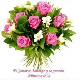 Profile Picture of Blanca Estela Lara Banda (@BlancaE57748127) on Twitter