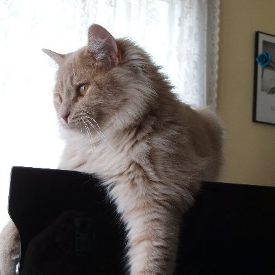 Profile Picture of Kate Baxter (@KateBaxter301) on Twitter