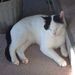 Profile Picture of dawn lindeman (@lindeman74) on Pinterest