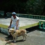Profile Picture of Guillermo Restrepo (@guillermo.restrepo.773) on Instagram