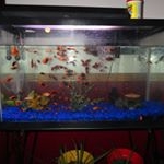 Profile Picture of Janet Williams (@janet.loon) on Instagram