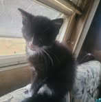 Profile Picture of Raymond Goodman (@Raymond-Goodman) on Facebook