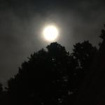 Profile Picture of Olive Roberts (@olive__04) on Instagram