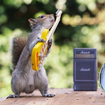 Profile Picture of Daniel De Aquino Garcia (@danieldeaquinogarcia) on Flickr