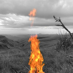 Profile Picture of Liam Thompson (@liamthompson1) on Flickr