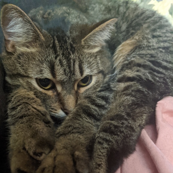 D Sawchak - Poshmark Profile Picture of D Sawchak (@dell359) on Poshmark