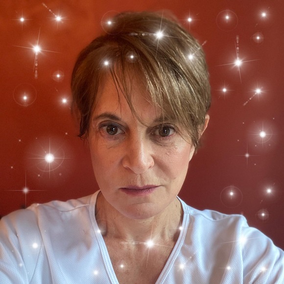 Profile Picture of Sue Hollenberg (@shollenberg1) on Poshmark