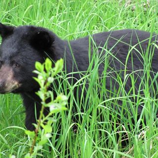 Profile Picture of Frank Draper (@frank.draper.14) on Facebook