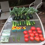 Profile Picture of joshua schindelman (@joshuaschindelman) on Instagram