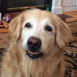 Frasier Stephens - Instagram Profile Picture of Frasier Stephens (@_frasierstephens_) on Instagram