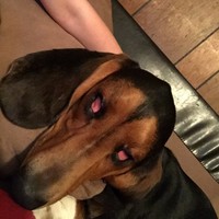 Profile Picture of Zach Colson (@zach-colson) on Quora