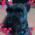 Profile Picture of Tracey Totten (@traceytotten) on Instagram