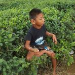 Profile Picture of Harka Danuwar (@harka.danuwar.77) on Facebook