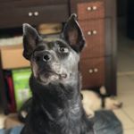 Profile Picture of Ellen Yeh (@ellenadam219831) on Instagram