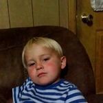 Profile Picture of david shreve (@shreve_david) on Instagram