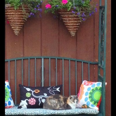 Profile Picture of Sybil Judge (@SybilJudge1958) on Twitter