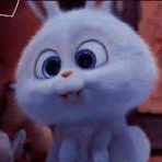 Profile Picture of Selin Loras Chavez (@selin.loraschavez) on Facebook