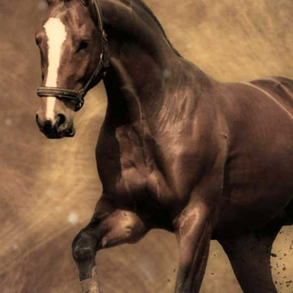 Profile Picture of David Barlow (@david_barlow) on Poshmark